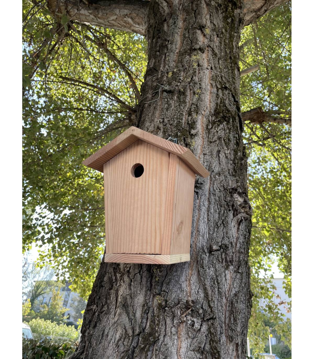 Fabriquer une cabane pour les oiseaux - Marie Claire