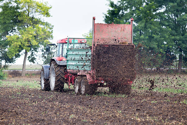 Tracteur épandant du fumier dans un champ