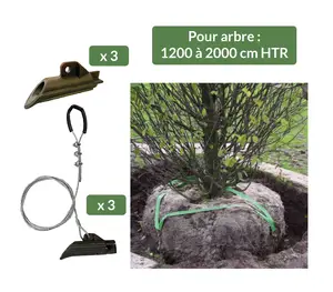 Image du produit de jardin : Kit Ancrage de motte MR3RBKS avec sangle de tête - De 1200 à 2000 cm