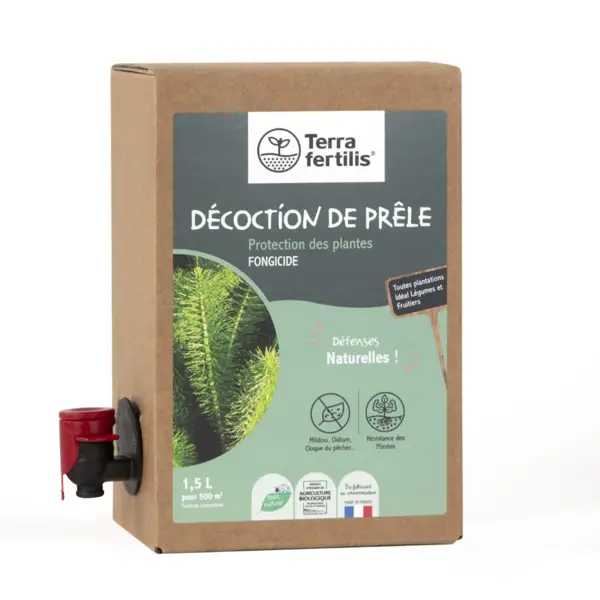 Image du produit : Décoction de Prêle - formule concentrée - Bib 1,5 L