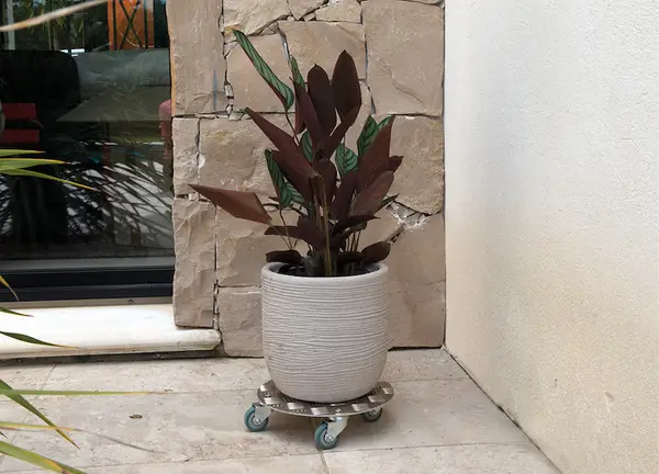 Image du produit : Roule-plantes rond en alu - Diam. 30 cm