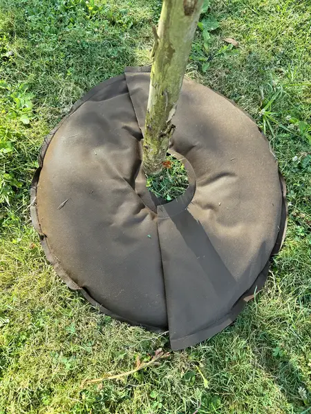 Image du produit : Coussin d’arrosage Tree’Bed demi-cercle Plantcohydro - D. 400 mm - Unité