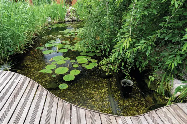 Image du produit : Plan de bassin d'ornement pour jardin