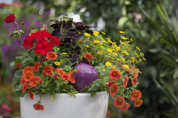 Image du produit : Oya à planter en terre cuite et émaillée - 0,3 L - Violet