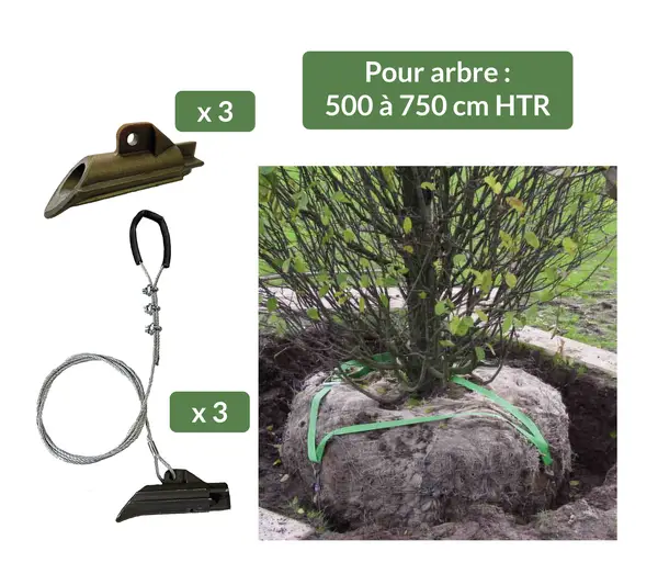 Image du produit : Kit Ancrage de motte avec sangle de tête 88RBKS - Pour arbre de 500 à 750 cm