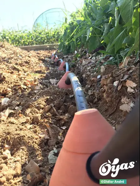 Image du produit : Kit de 8 oyas 1,5 L - pour arrosage autonome enterré 