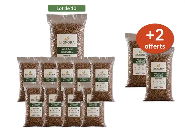 Image du produit : Paillage de copeaux de bois naturel 20/40 - 10 sacs de 40 L + 2 offerts